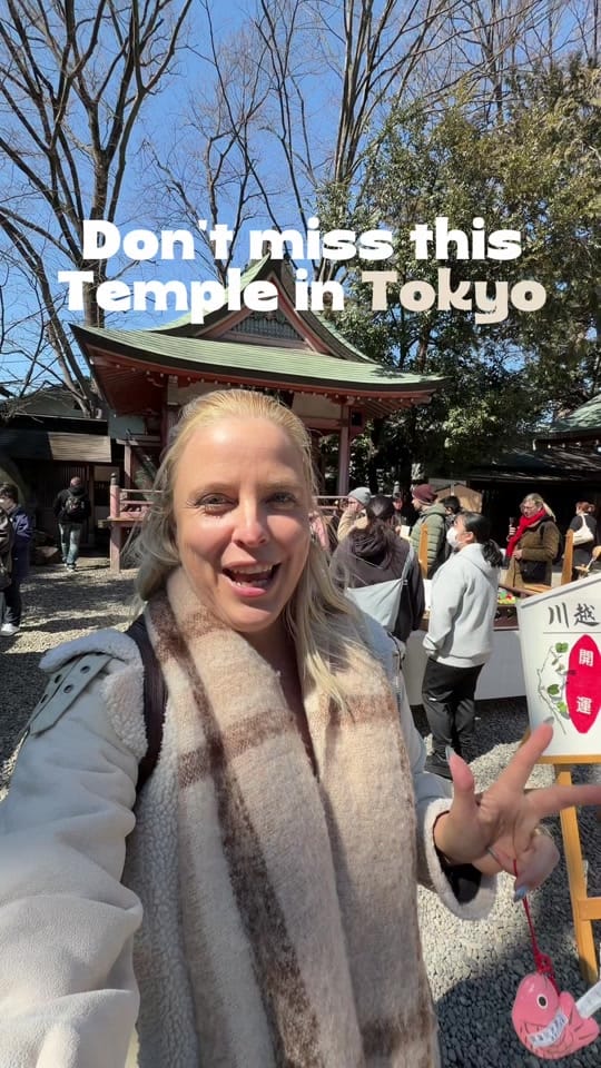 Post 1 by the.savvytourist on TikTok (video)