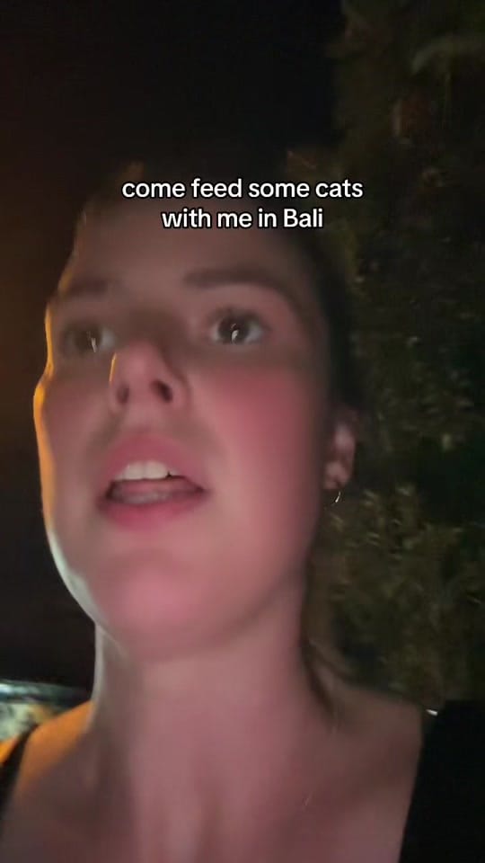Post 2 by lapofthemap13 on TikTok (video)