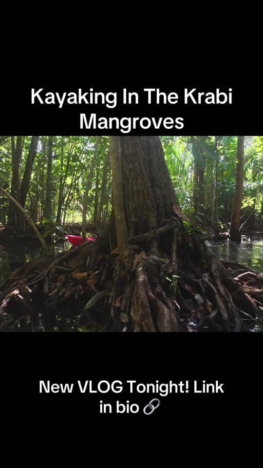 Post 9 by kyleyozzahughes on TikTok (video)