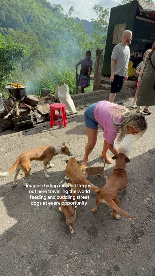 Post 5 by Alana 💌 on TikTok (video)