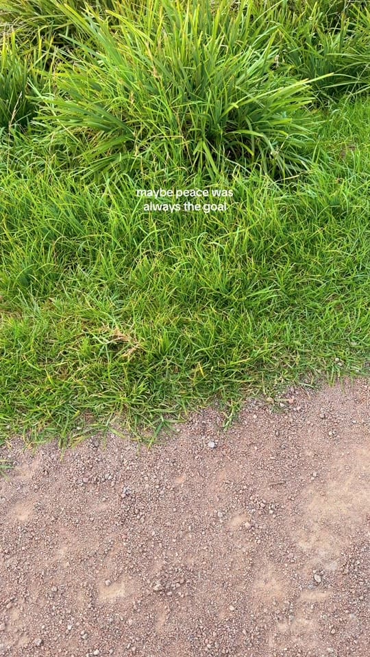 Post 7 by Alana 💌 on TikTok (video)