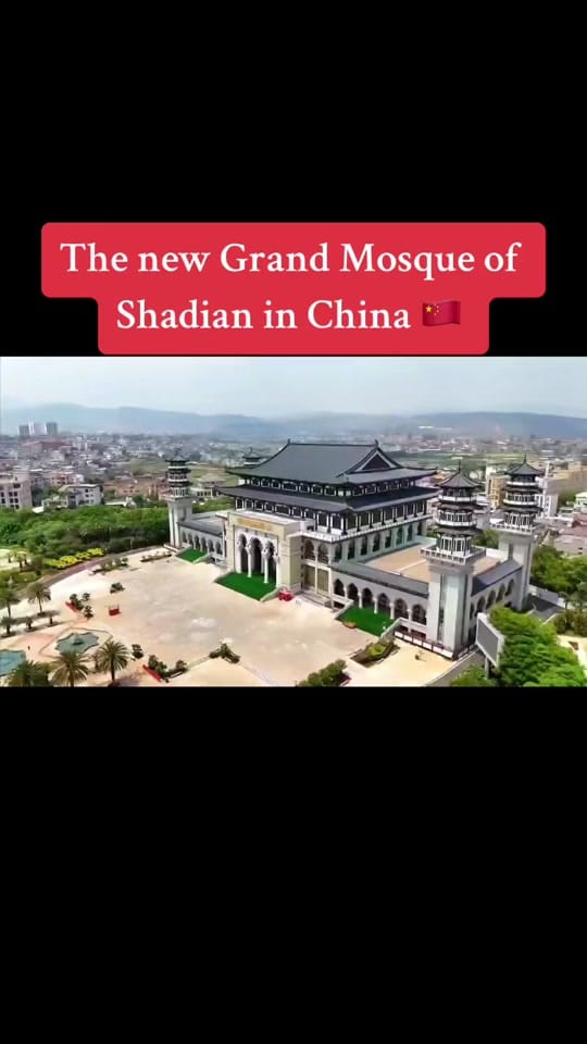 Post 7 by YankeeAli on TikTok (video)