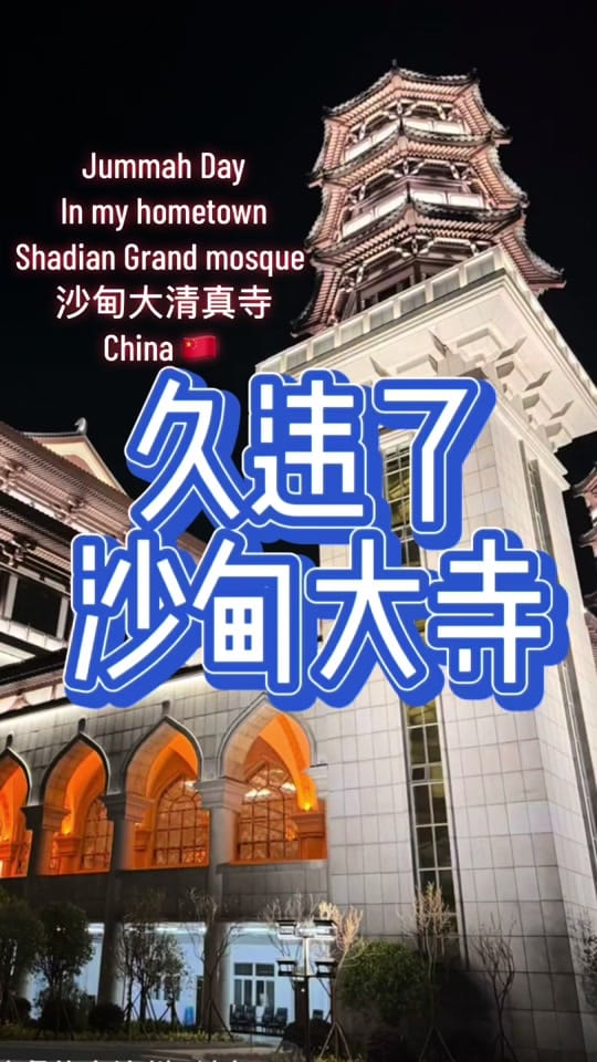 Post 5 by YankeeAli on TikTok (video)