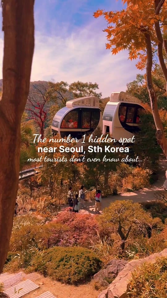 Post 9 by Global & Beyond Travel on TikTok (video)