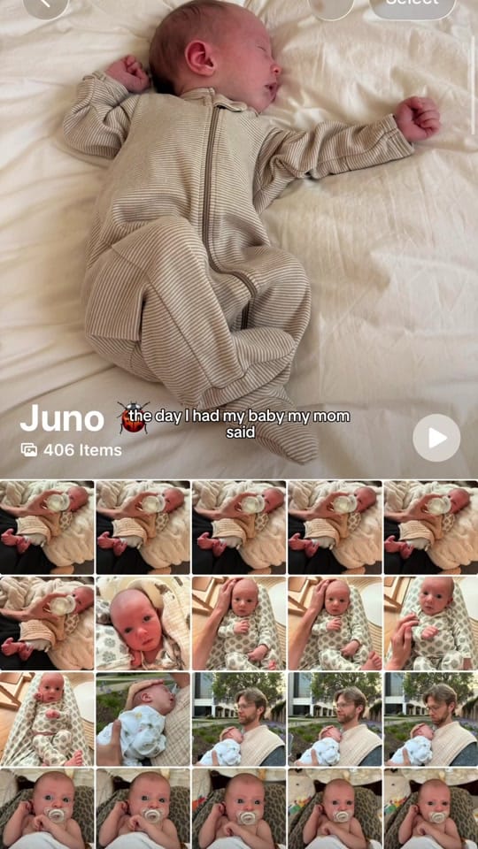 Post 3 by squid westra on TikTok (video)