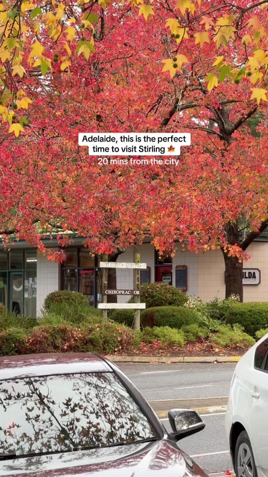 Post 6 by vanessa_desilva on TikTok (video)