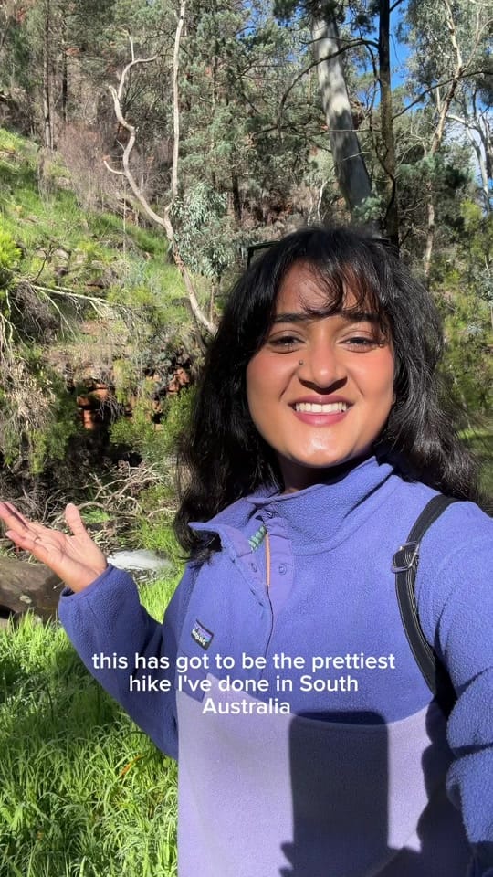 Post 2 by vanessa_desilva on TikTok (video)