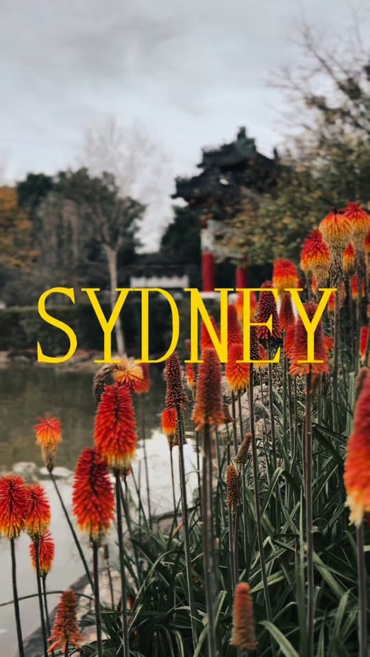 Post 2 by Laura | OZ Life 🇦🇺🩰 on TikTok (video)
