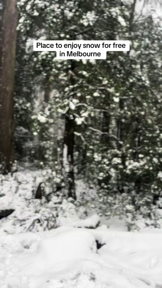 Post 4 by Tiwi Rizqi  🇦🇺 on TikTok (video)