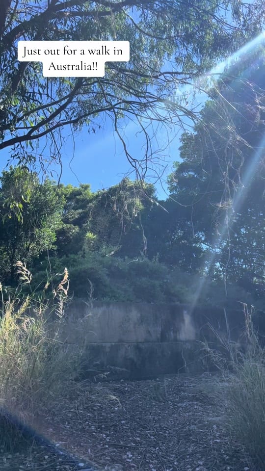 Post 5 by willisfamilydownunder on TikTok (video)