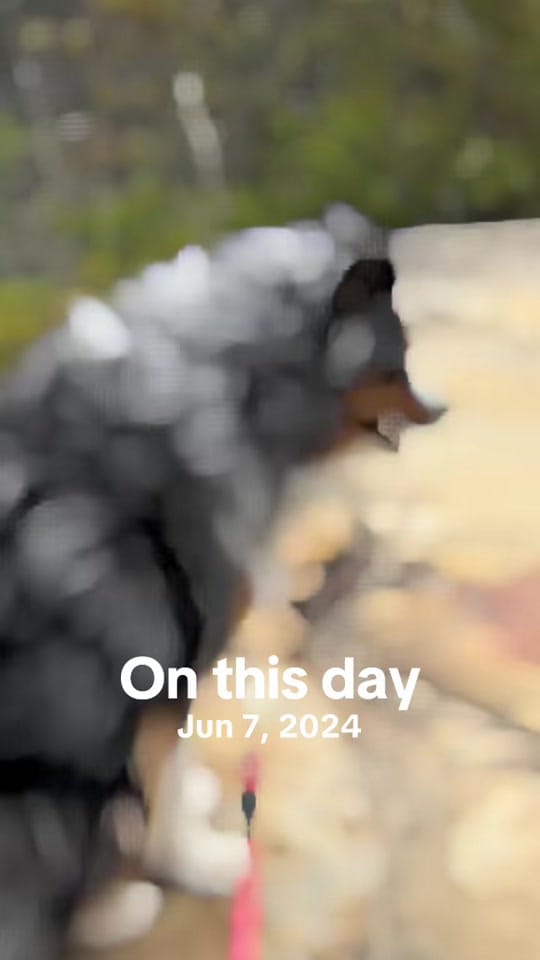 Post 2 by AdventureRN ❌ on TikTok (video)