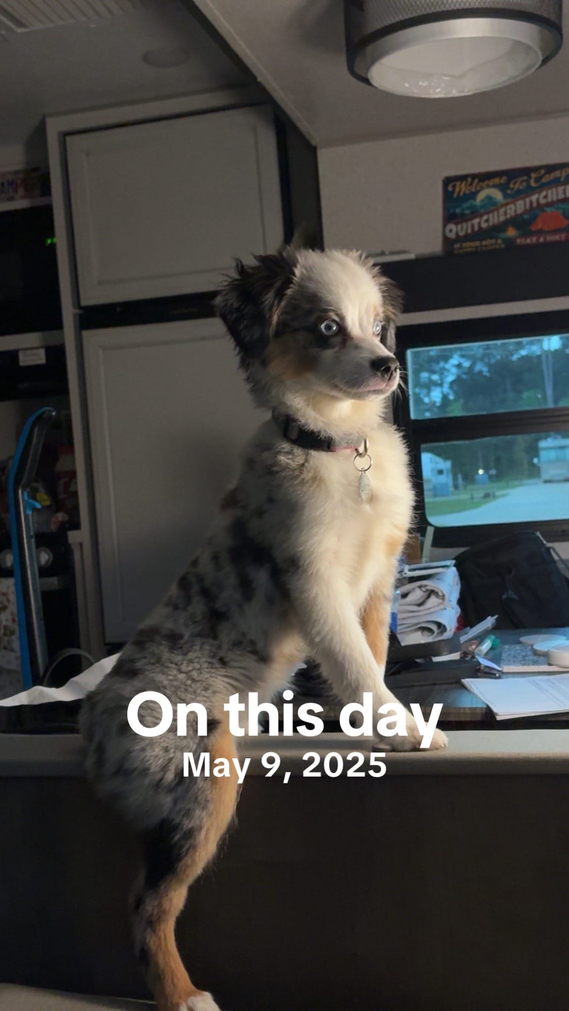Post 5 by AdventureRN ❌ on TikTok (video)