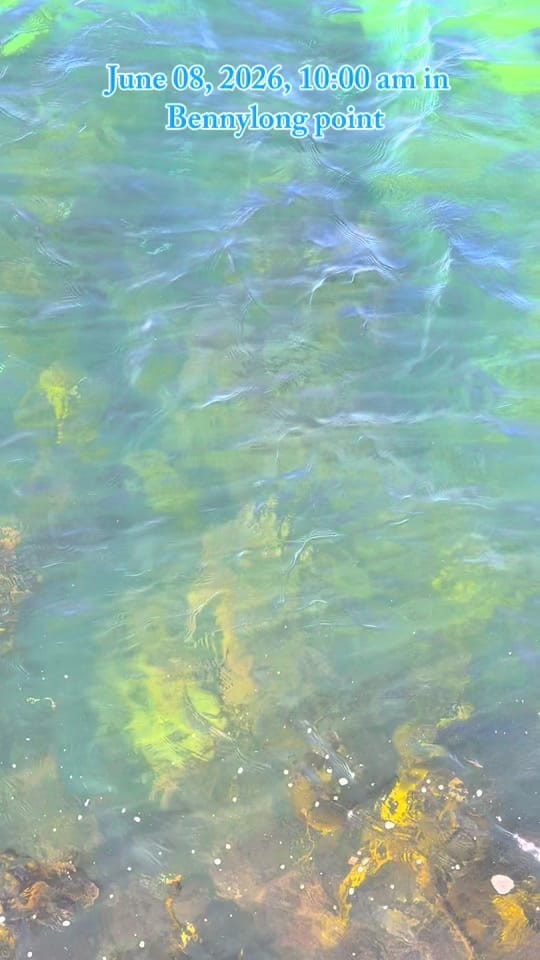 Post 9 by G30RG3 Puvi on TikTok (video)