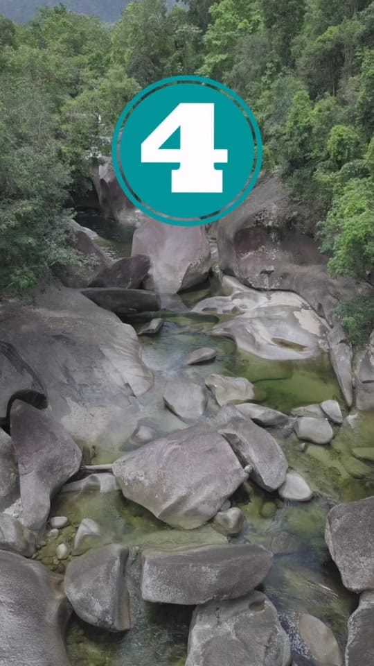Post 10 by Alice Kuersch on TikTok (video)