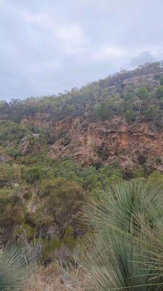 Post 8 by Alice Kuersch on TikTok (video)