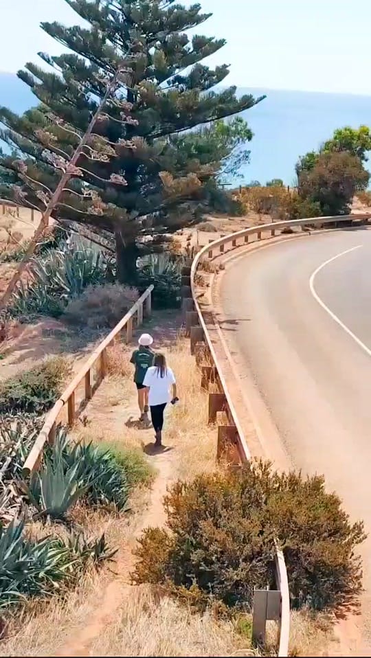 Post 9 by Alice Kuersch on TikTok (video)