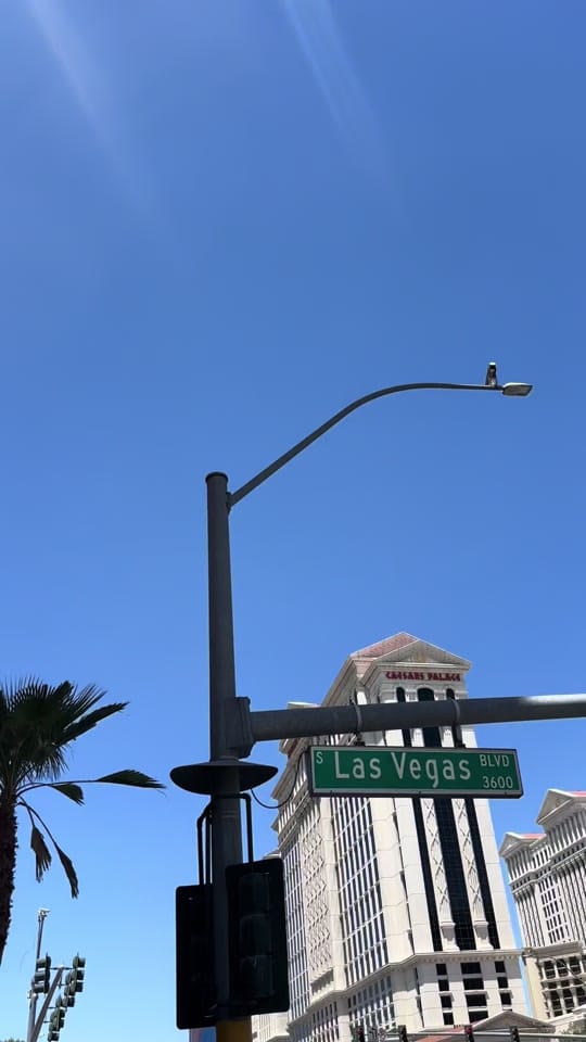 Post 8 by Maddison Williams on TikTok (video)