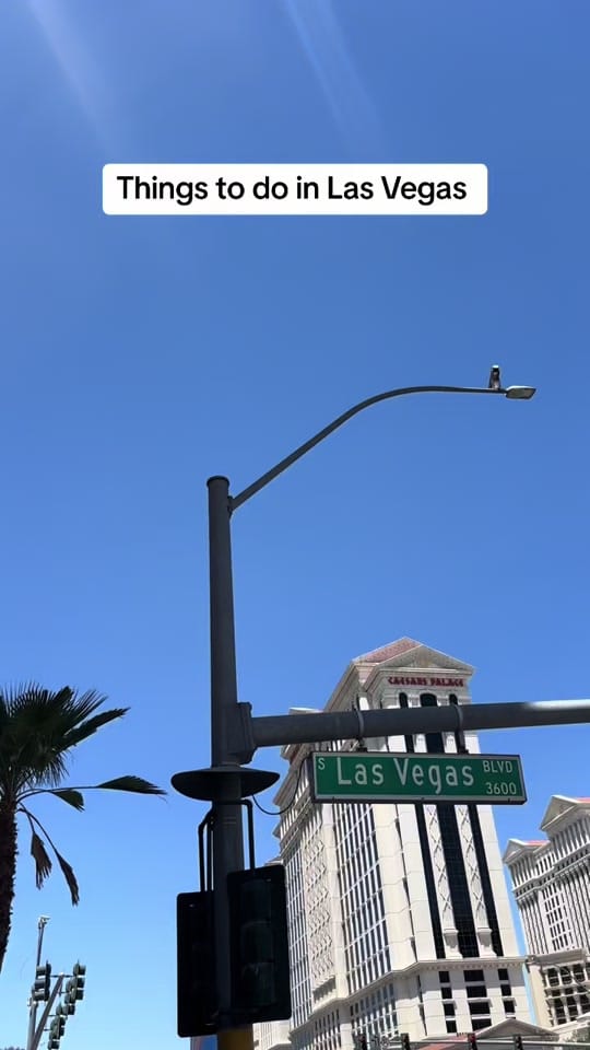 Post 7 by Maddison Williams on TikTok (video)