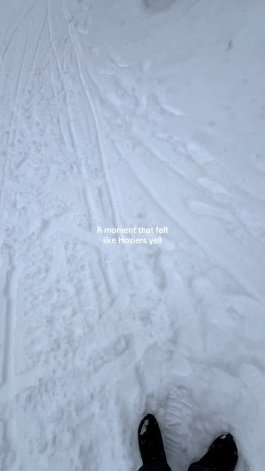 Post 1 by jordanlavis on TikTok (video)