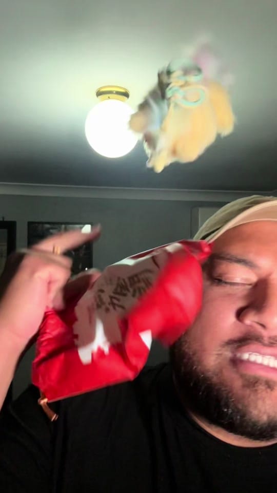 Post 3 by itskingleroy on TikTok (video)