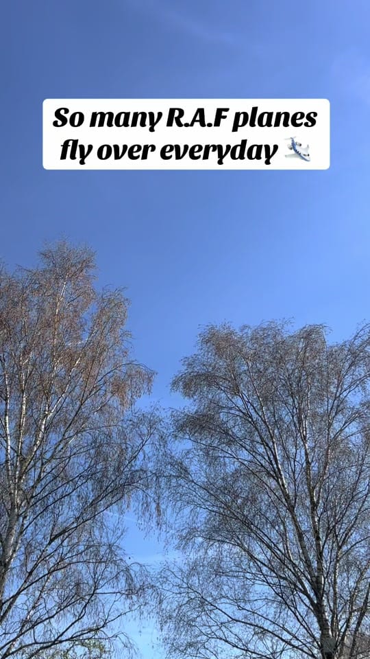 Post 1 by 4 Backpacks, Many Memories on TikTok (video)