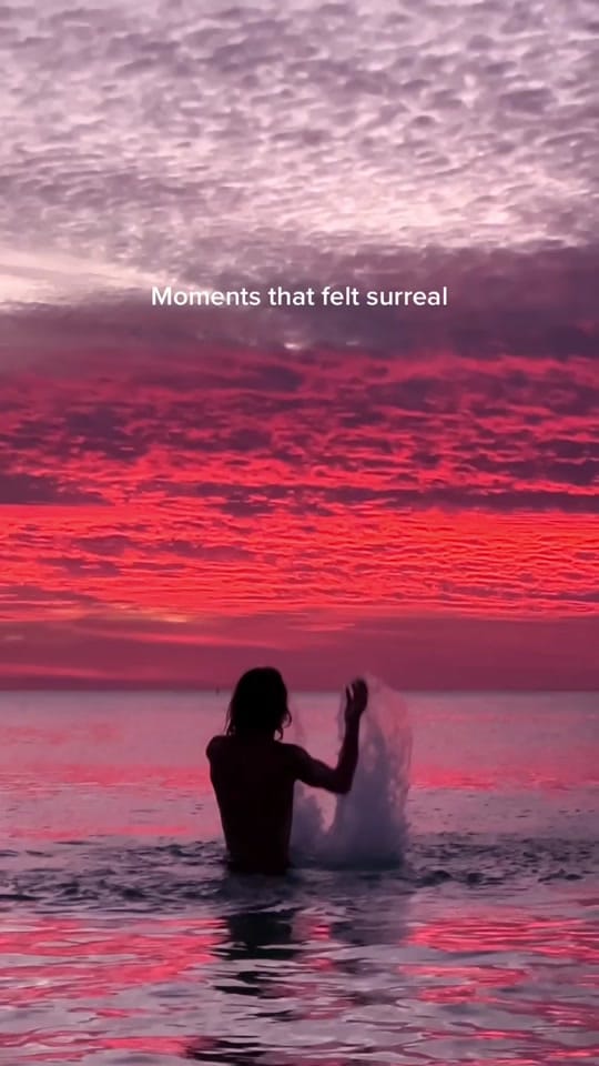 Post 8 by Daniel Barrington on TikTok (video)