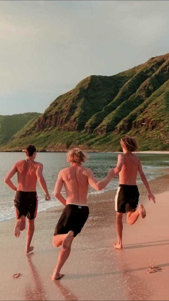 Post 1 by Daniel Barrington on TikTok (video)