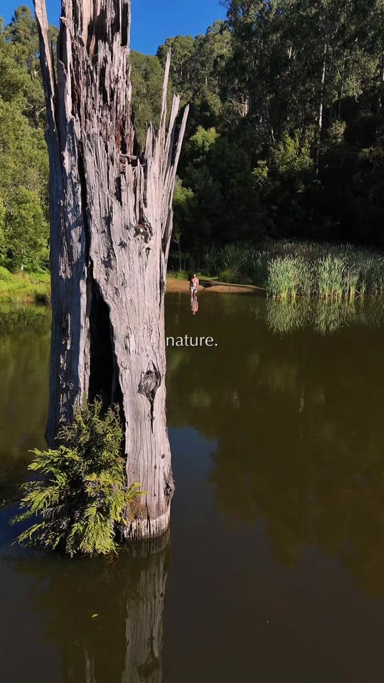 Post 10 by Jade on TikTok (video)