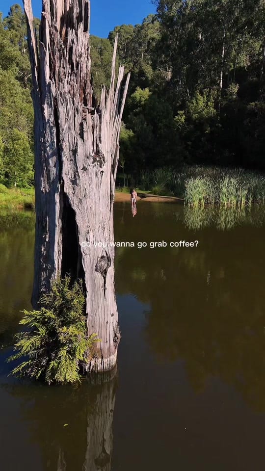Post 9 by Jade on TikTok (video)