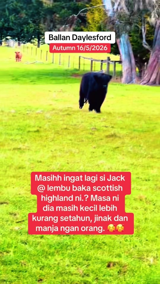 Post 3 by huzaimi on TikTok (video)