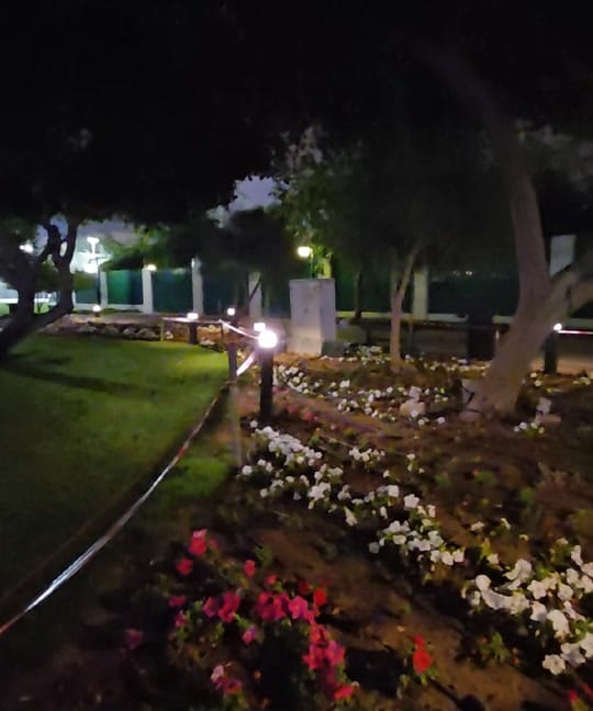 Post 6 by Moon Doha on TikTok (video)