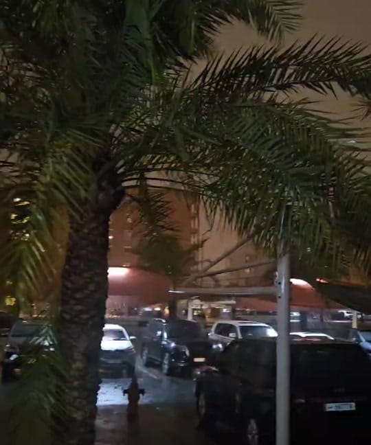 Post 3 by Moon Doha on TikTok (video)