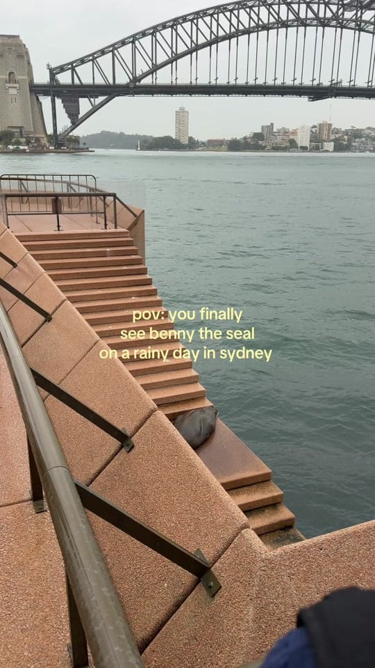 Post 1 by Jonny on TikTok (video)