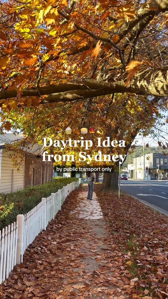 Post 8 by lave 🎀🌻 ||  SYDNEY FOODIE on TikTok (video)
