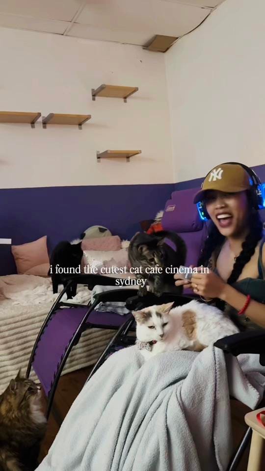 Post 8 by createwithcess on TikTok (video)
