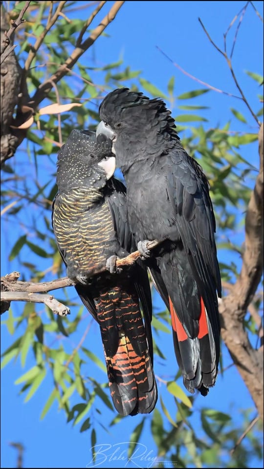 Post 4 by BlakeRiley_Photography on TikTok (video)