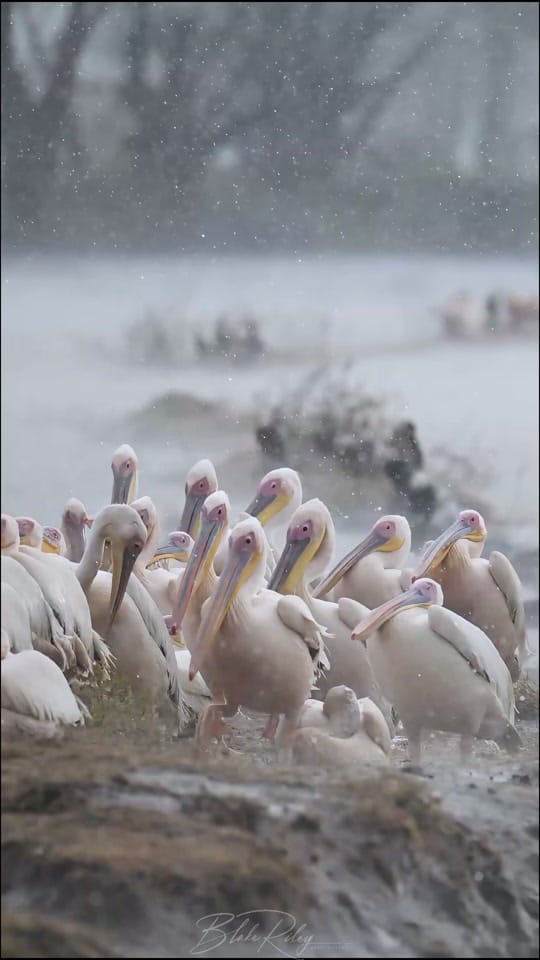 Post 5 by BlakeRiley_Photography on TikTok (video)
