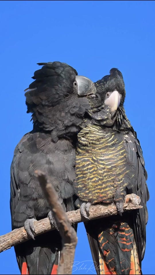 Post 10 by BlakeRiley_Photography on TikTok (video)