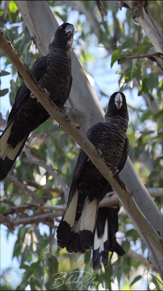 Post 1 by BlakeRiley_Photography on TikTok (video)