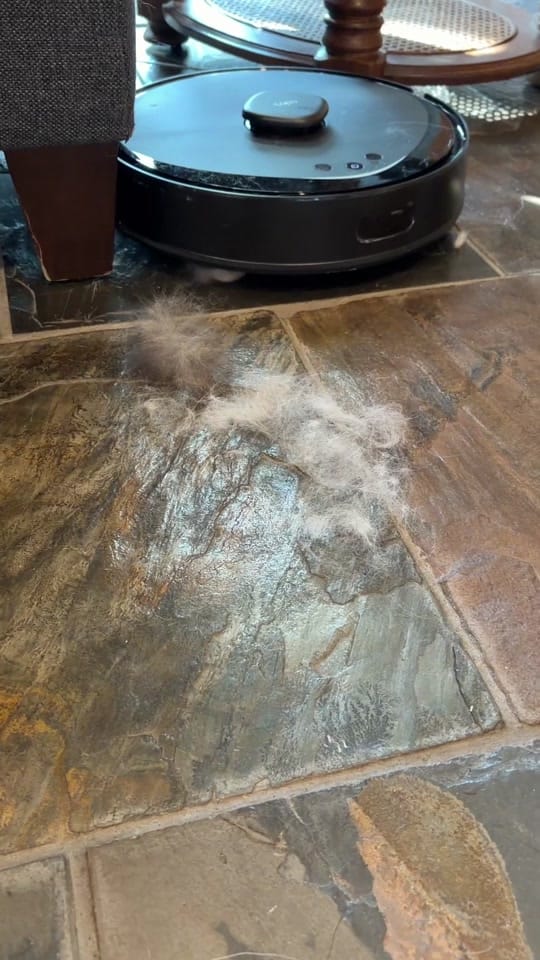 Post 9 by Flambo on TikTok (video)