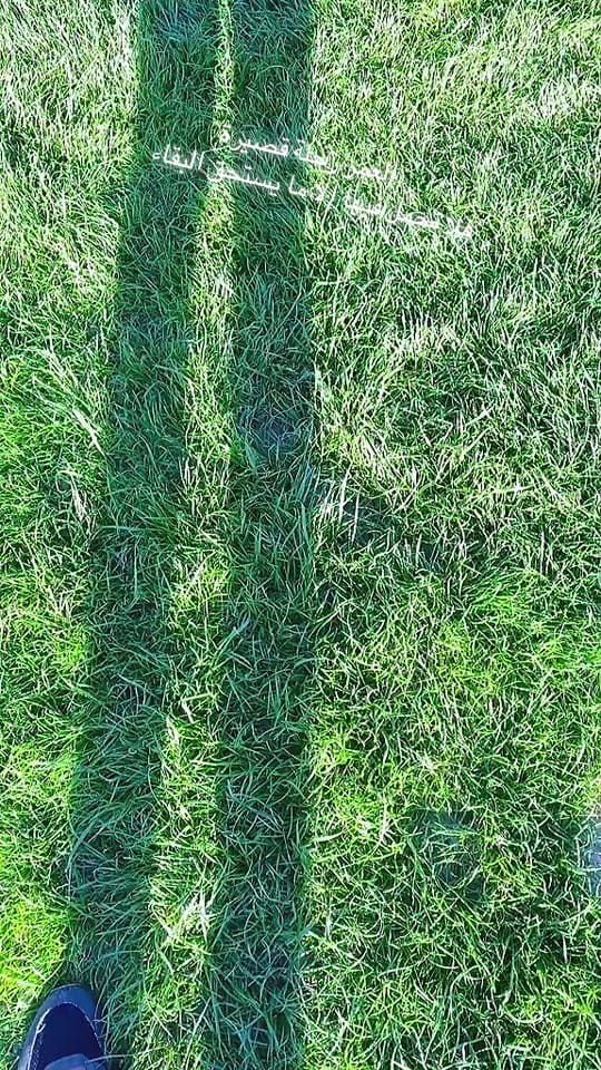 Post 7 by Natur&travel on TikTok (video)