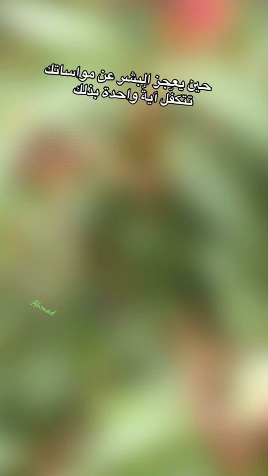 Post 3 by Natur&travel on TikTok (video)