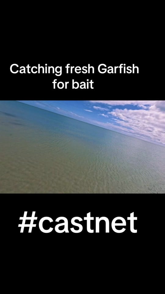 Post 7 by DOM on TikTok (video)