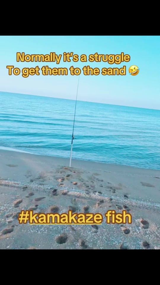 Post 8 by DOM on TikTok (video)