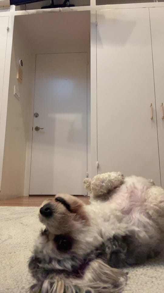 Post 3 by thewrightword on TikTok (video)