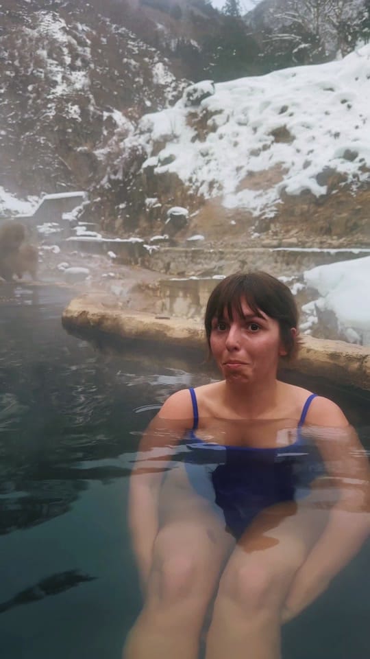 Post 1 by wanderingdonut on TikTok (video)
