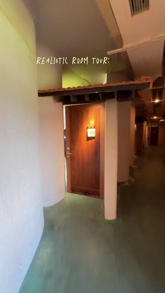 Post 8 by wanderingdonut on TikTok (video)