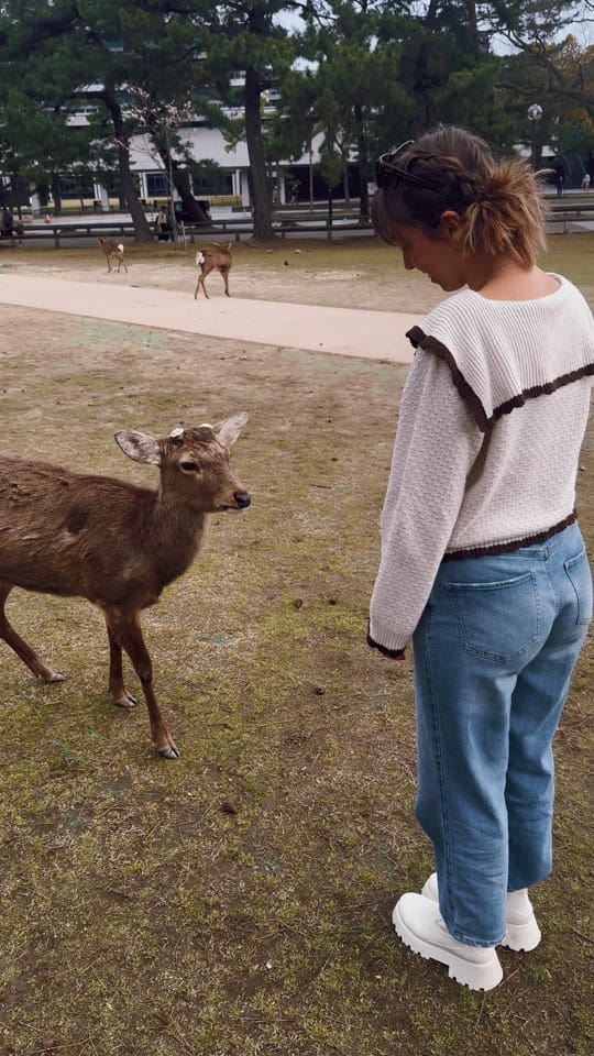 Post 7 by wanderingdonut on TikTok (video)