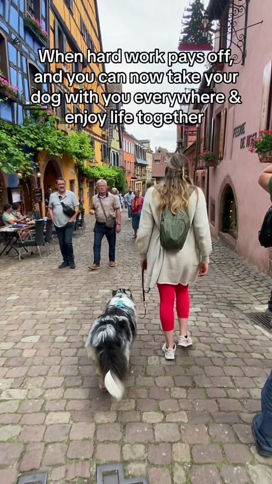 Post 9 by Pawsome.nala on TikTok (video)