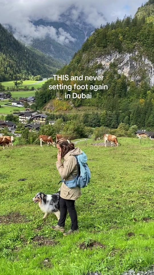 Post 2 by Pawsome.nala on TikTok (video)